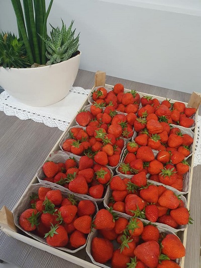 Dicke rote Erdbeeren